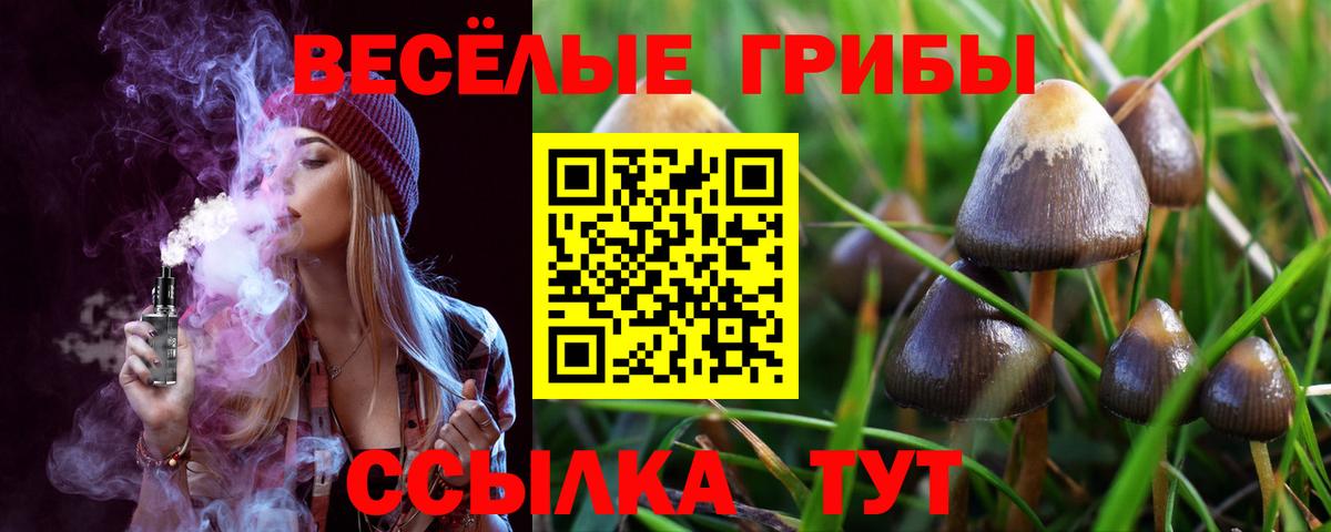 Галлюциногенные грибы Psilocybine cubensis Заинск