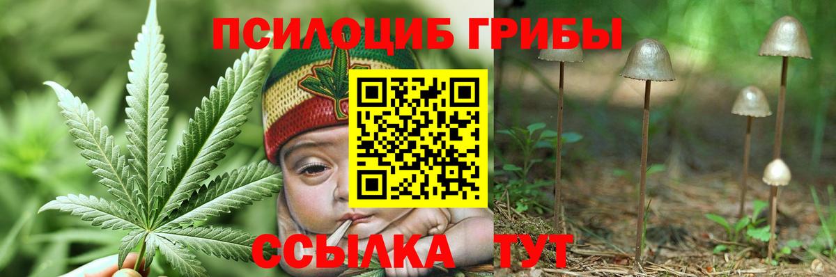 Псилоцибиновые грибы MAGIC MUSHROOMS  Псилоцибиновые грибы MAGIC MUSHROOMS  Вход с VPN  Заинск 